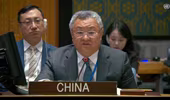 Trung Quốc chỉ trích thuế quan của Mỹ tại hội nghị Hội đồng Bảo an Liên hợp quốc