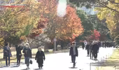 Công chúng thích thú thưởng ngoạn sắc lá thu tại Hoàng cung ở Tokyo