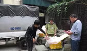Nội tạng của lợn thải loại Trung Quốc tuồn về Hà Nội tiêu thụ