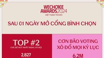 WeChoice Awards 2024 ghi nhận kỷ lục bình chọn, trở thành một trong những giải thưởng hot nhất năm nay