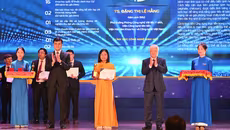 Nữ tiến sĩ “dành cả thanh xuân” để tối ưu thuốc điều trị từ vật liệu y sinh