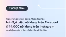 Meta gỡ bỏ hơn 5 triệu nội dung liên quan đến lừa đảo tại Việt Nam