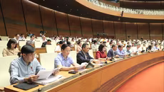 Quốc hội xem xét hàng loạt quy định mới về giữ người trong trường hợp khẩn cấp để dẫn độ