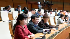 Đề xuất giao Giám đốc Sở Giáo dục - Đào tạo quyền tuyển dụng, điều động giáo viên 