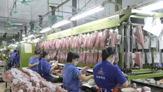 Liên tiếp tăng trần, cổ phiếu Giầy Thượng Đình gấp 2,5 lần chỉ sau 7 phiên