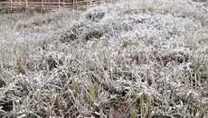 Bắc bộ ngày nắng hanh, đêm rét, vùng núi cao xuất hiện sương muối