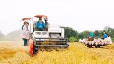 Ngành Nông nghiệp và Môi trường luôn là trụ cột quan trọng của nền kinh tế