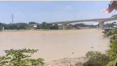Cầu Việt Trì và cầu Thái Hà bị tàu đâm va, yêu cầu giám sát bảo đảm an toàn