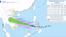 Bão Kalmaegi mạnh thêm, giật cấp 17 đang tiến về đất liền