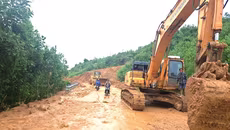 Công bố tình huống khẩn cấp về thiên tai trên đường Trường Sơn Đông
