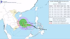 Bão số 15 được nhận định nhiều khả năng "chết yểu" trên biển