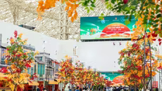 Hà Nội đề nghị dừng bắn pháo hoa tại lễ bế mạc hội chợ Mùa thu