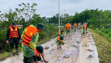 Hà Nội rà soát, đẩy nhanh giải ngân các công trình đê điều và phòng chống thiên tai