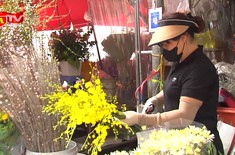 Không khí đón Tết đang đến gần chợ hoa Quảng An