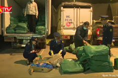 Phát hiện xe tải chở hơn 2 tấn lòng bò bốc mùi từ Lạng Sơn về Hà Nội