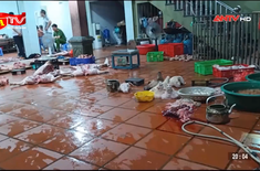 Kiểm tra phát hiện cơ sở giết mổ lợn nhiễm dịch tả châu Phi