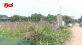 Sẽ bị thu hồi đất hết thời hạn sử dụng nếu không gia hạn trước 06 tháng