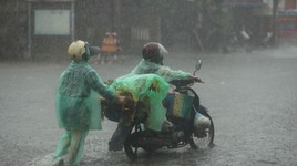 Mưa giông sầm sập trút xuống, trời Hà Nội tối đen, nhiều tuyến phố ngập trắng