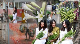 Khúc giao mùa đẹp tinh khôi khi hoa loa kèn xuống phố Hà Thành