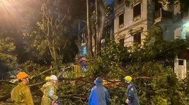 Chủ tịch Hà Nội chỉ đạo khẩn trương khắc phục hậu quả cơn bão số 3