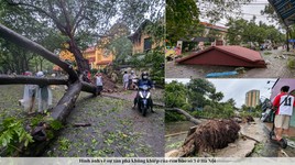 Hình ảnh về sự tàn phá khủng khiếp của cơn bão số 3 ở Hà Nội
