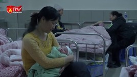 Được trợ cấp thai sản 2 triệu đồng khi tham gia BHXH tự nguyện 