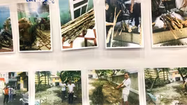 Đánh sập đường dây chuyên trộm cắp, mua bán gỗ sưa