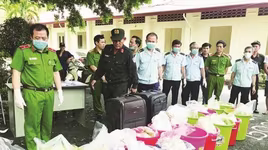 Tập trung đấu tranh, triệt phá các đường dây ma túy lớn