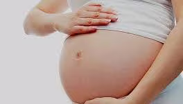 Lần đầu xét xử vụ án tổ chức mang thai hộ tại Hà Nội