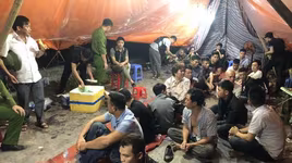 Xác định vai trò của 15 đối tượng trong ổ bạc khủng tại vườn chuối