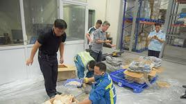 Gần 1 tấn vẩy tê tê, ngà voi trong 2 lô hàng đi máy bay về Việt Nam