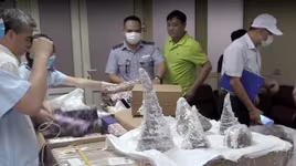 Cận cảnh Hải quan Hà Nội phá khối thạch cao, phát hiện 55 chiếc sừng tê giác nặng cả tạ