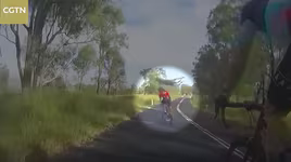 Kangaroo bất ngờ tung người đá ngã cô gái đi xe đạp