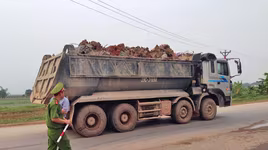 Phải xử lý mạnh các “hung thần” phá đê