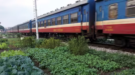 Nhức nhối ATGT đường sắt: Càng kiểm tra càng ra vi phạm