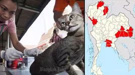 Dịch bệnh dại bùng phát ở Thái Lan