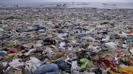 G7 bàn cách "giải cứu" môi trường Trái đất