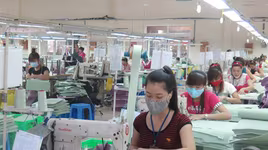 Xử lý nợ đọng bảo hiểm xã hội, bảo vệ lợi ích người lao động