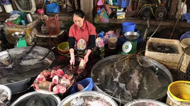 Kiểm soát Covid-19: Cần nhất là niềm tin và sự đồng thuận xã hội