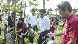 Hà Nội trồng thêm 500 cây hoa anh đào Nhật Bản