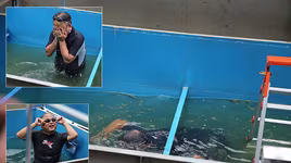 Chuyên gia Nhật bơi lặn trong bể thử nghiệm làm sạch sông Tô Lịch