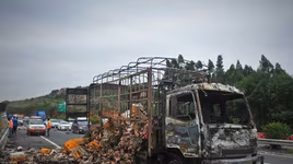 Trung Quốc: Xe tải bốc cháy khiến hàng ngàn con vịt sống thành vịt nướng