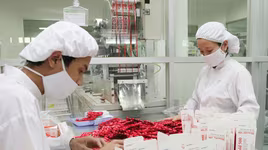 10 năm, ngành dược vẫn đứng yên