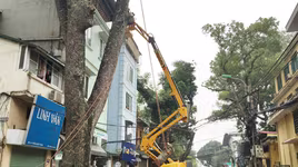 TP Hà Nội cắt tỉa cây xanh bằng công nghệ mới: Hiệu suất công việc tăng gấp 5 lần