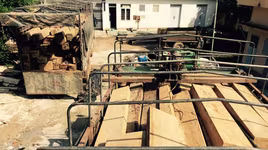 Bắt vụ gỗ lậu với số lượng hơn 55 m3 gỗ ở huyện Krông Bông