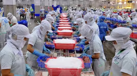 Chi phí đóng bảo hiểm xã hội cao làm giảm "sức khỏe" doanh nghiệp