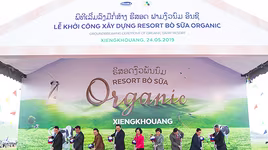 Đầu tư 120 triệu USD – Vinamilk hợp tác xây dựng tổ hợp "resort" bò sữa Organics tại Lào