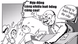 Tân sinh viên nạn nhân của "con ma" đa cấp