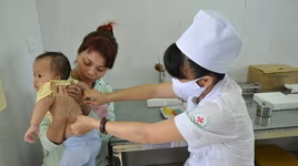 Bị côn trùng đốt, coi thường là rước họa khó lường