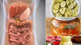 Vi khuẩn Probiotic tốt cho hệ tim mạch và cải thiện hệ thống miễn dịch